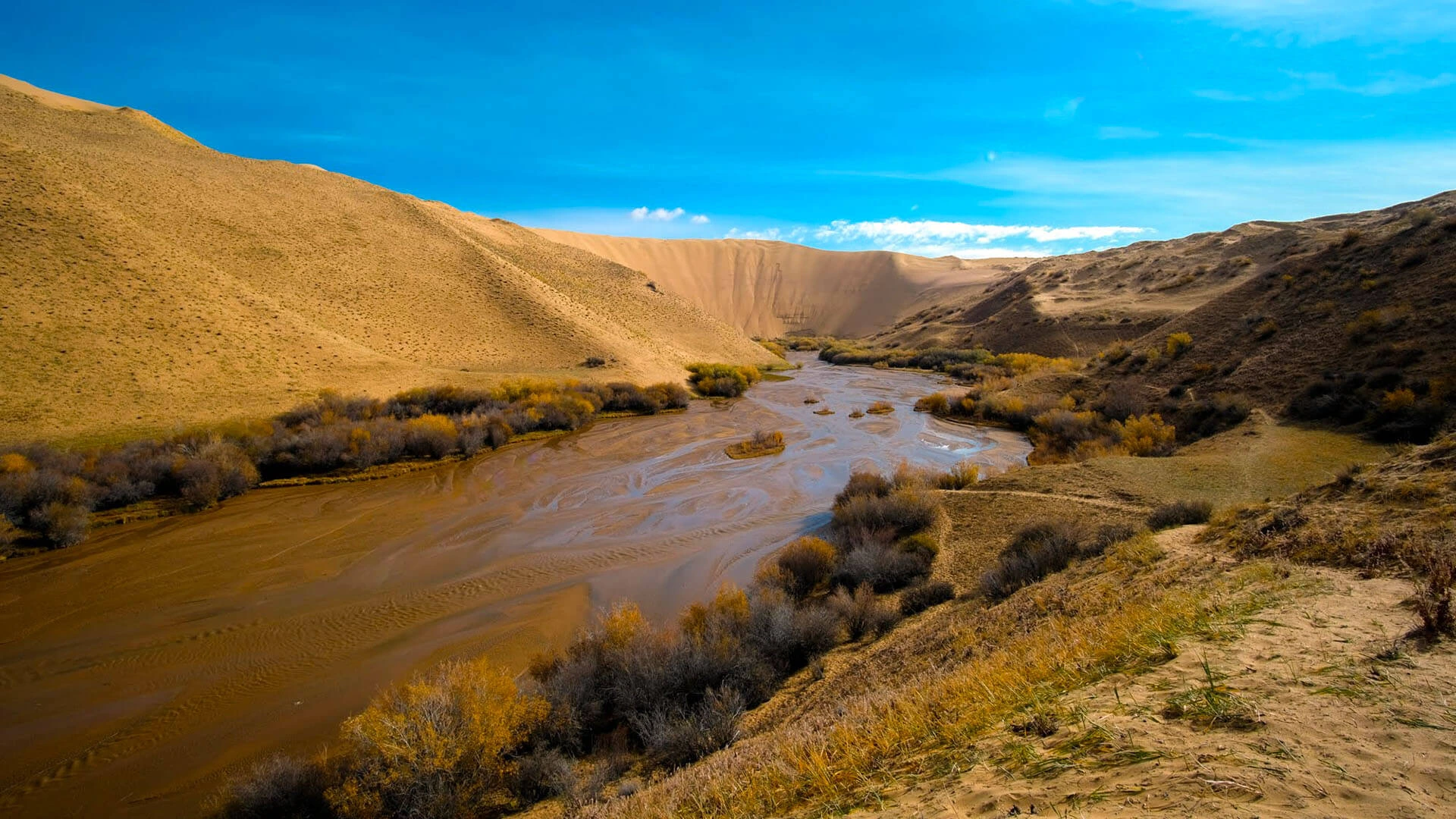 Mukhart Oasis Mongolia