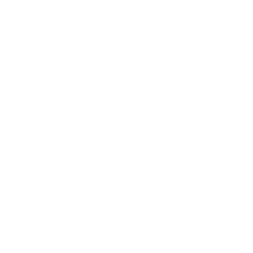 Zucchi-Tours-logo-002.png